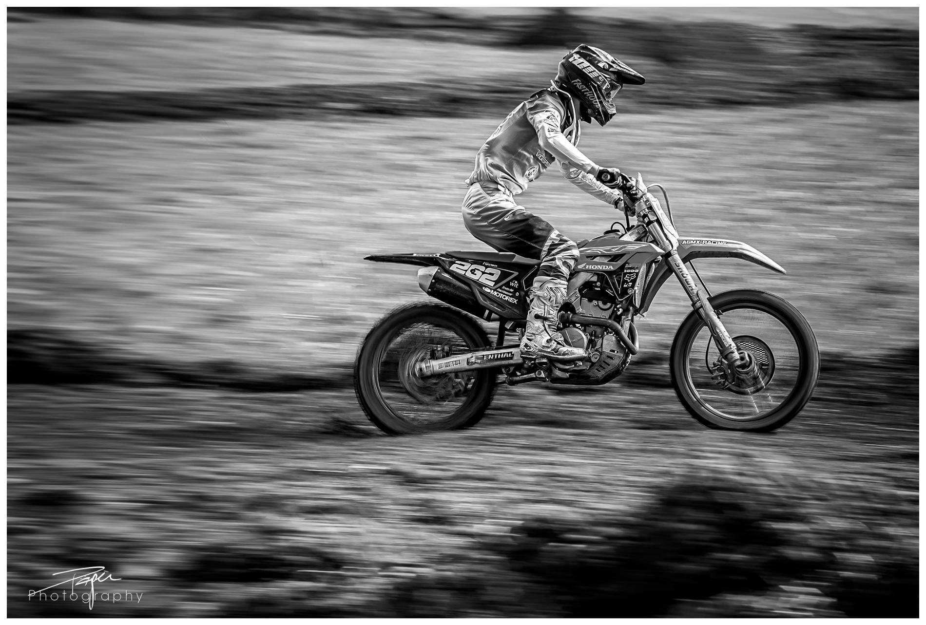  23.03.2024 - Frühling